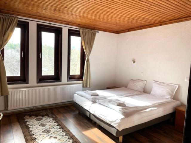 Бор И Шишарка Varzilkovtsi Extérieur photo